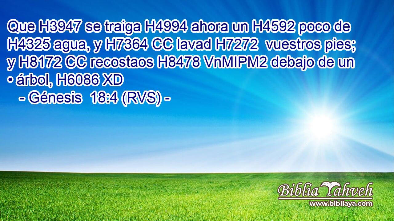 Que H3947 se traiga H4994 ahora un H4592 poco de H4325 agua, y H7364 CC lavad H7272  vuestros pies; y H8172 CC recostaos H8478 VnMIPM2 debajo de un • árbol, H6086 XD 