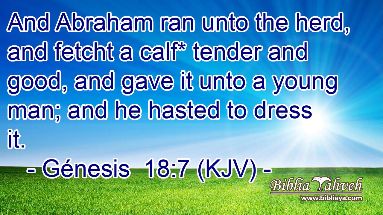And Abraham ran unto the herd, and fetcht a calf* tender and good, and gave it unto a young man; and he hasted to dress it.
