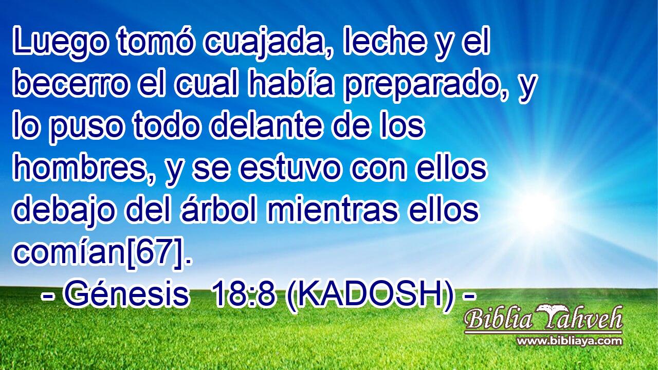  Luego tomó cuajada, leche y el becerro el cual había preparado, y lo puso todo delante de los hombres, y se estuvo con ellos debajo del árbol mientras ellos comían[67]. 