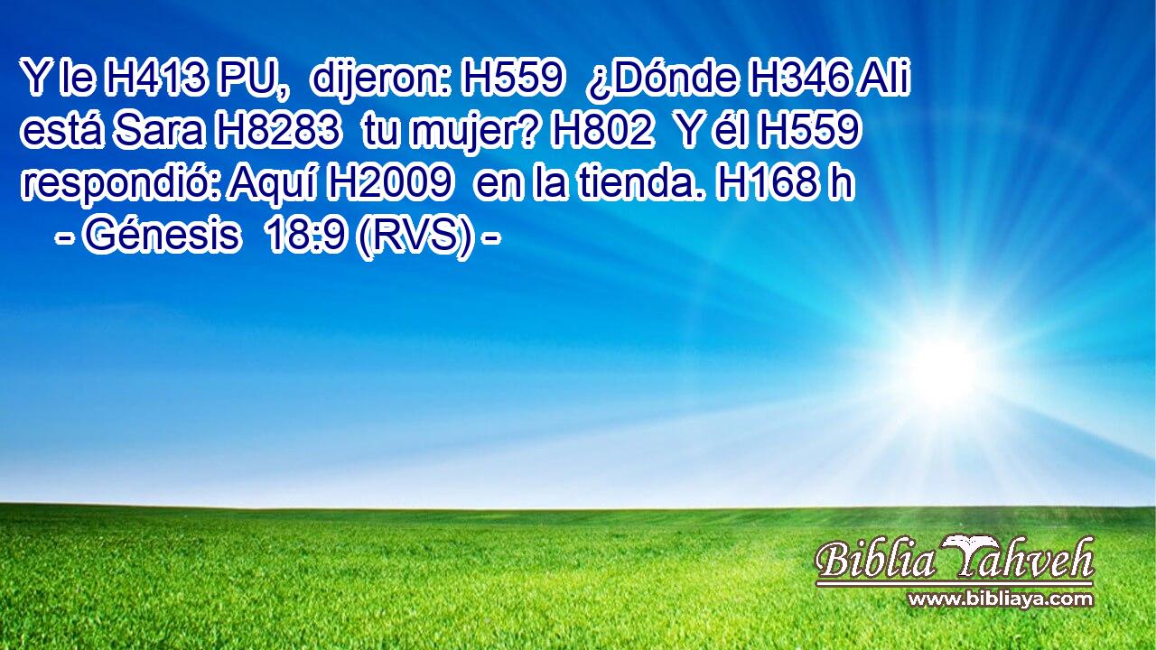 Y le H413 PU,  dijeron: H559  ¿Dónde H346 AIi está Sara H8283  tu mujer? H802  Y él H559  respondió: Aquí H2009  en la tienda. H168 h 