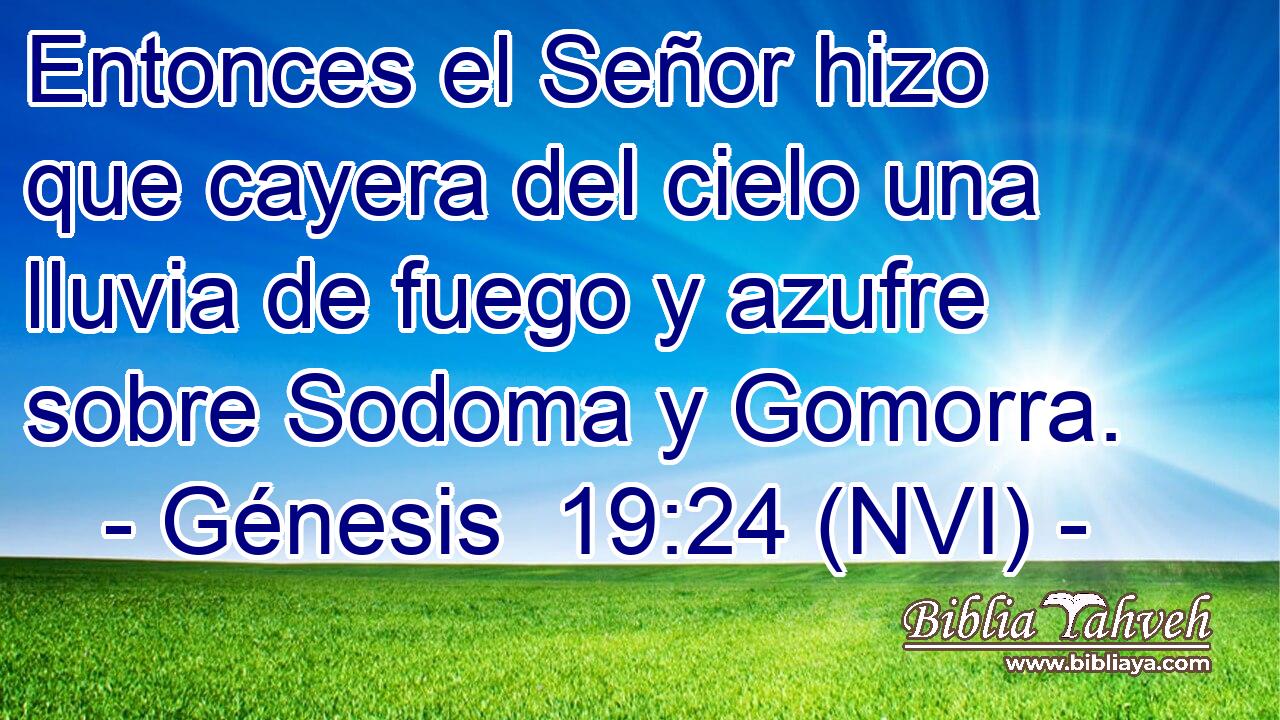  Entonces el Señor hizo que cayera del cielo una lluvia de fuego y azufre sobre Sodoma y Gomorra. 