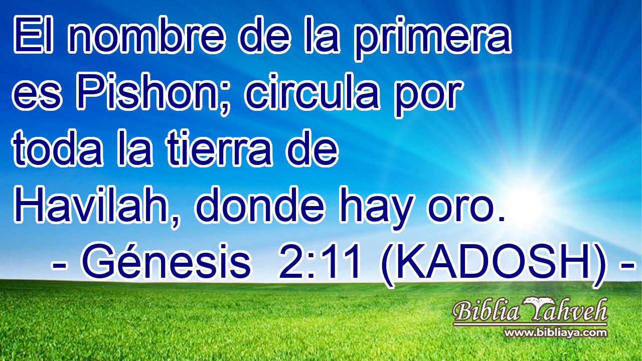  El nombre de la primera es Pishon; circula por toda la tierra de Havilah, donde hay oro. 