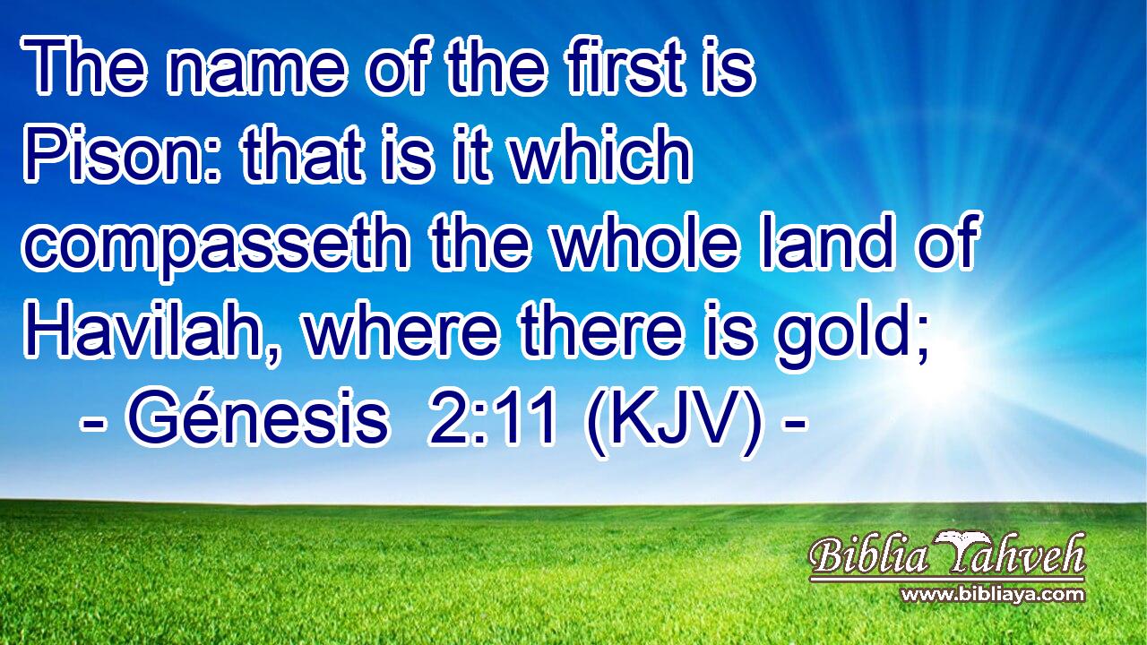 The name of the first is Pison: that is it which compasseth the whole land of Havilah, where there is gold;