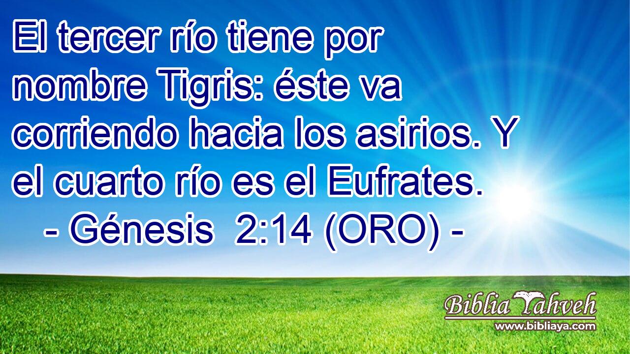  El tercer río tiene por nombre Tigris: éste va corriendo hacia los asirios. Y el cuarto río es el Eufrates. 