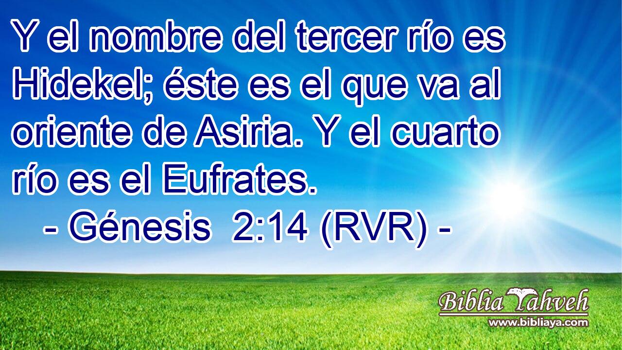 Y el nombre del tercer río es Hidekel; éste es el que va al oriente de Asiria. Y el cuarto río es el Eufrates.