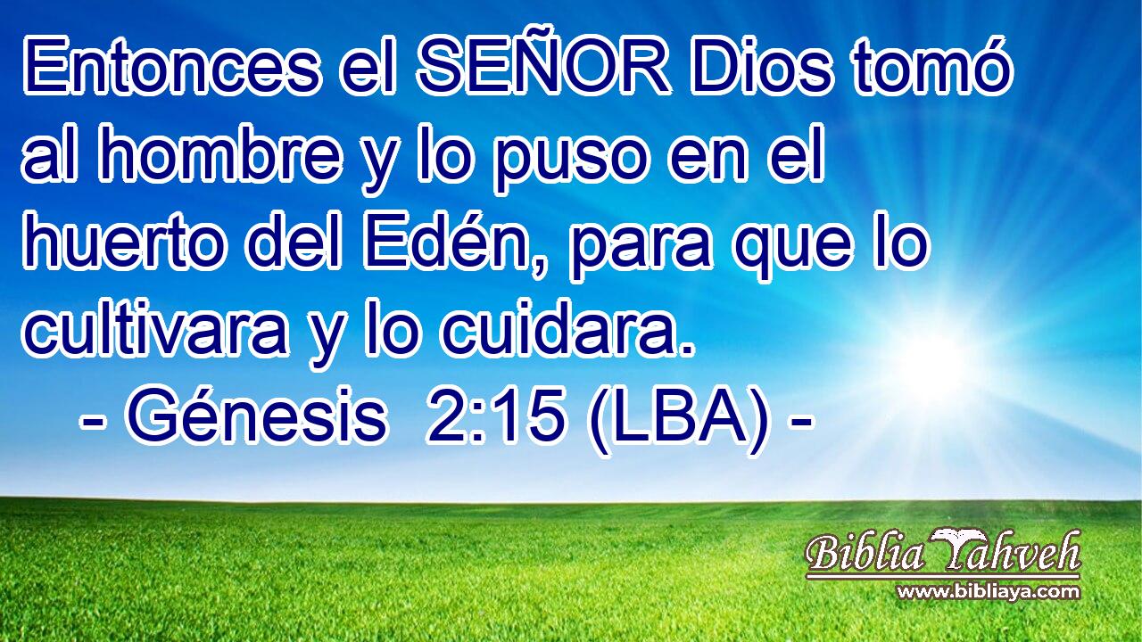 Entonces el SEÑOR Dios tomó al hombre y lo puso en el huerto del Edén, para que lo cultivara y lo cuidara.