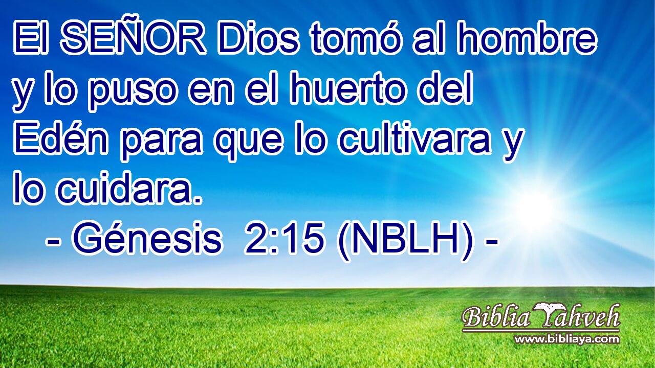 El SEÑOR Dios tomó al hombre y lo puso en el huerto del Edén para que lo cultivara y lo cuidara. 