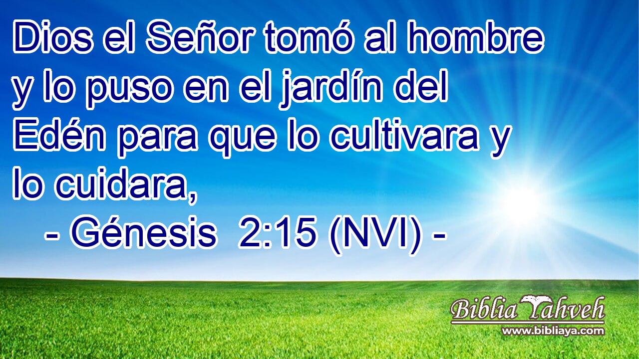  Dios el Señor tomó al hombre y lo puso en el jardín del Edén para que lo cultivara y lo cuidara, 