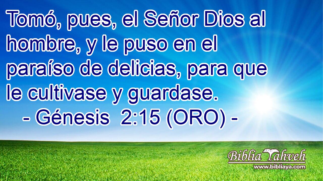  Tomó, pues, el Señor Dios al hombre, y le puso en el paraíso de delicias, para que le cultivase y guardase. 