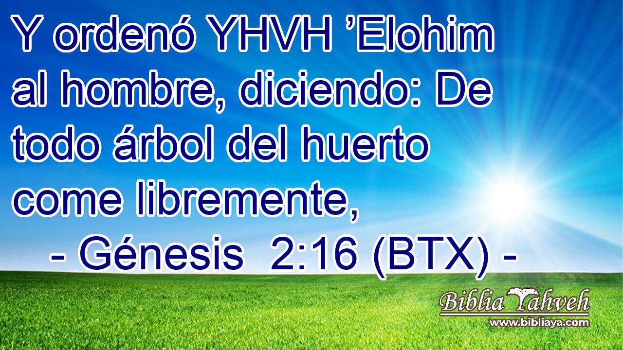 Y ordenó YHVH ’Elohim al hombre, diciendo: De todo árbol del huerto come libremente,