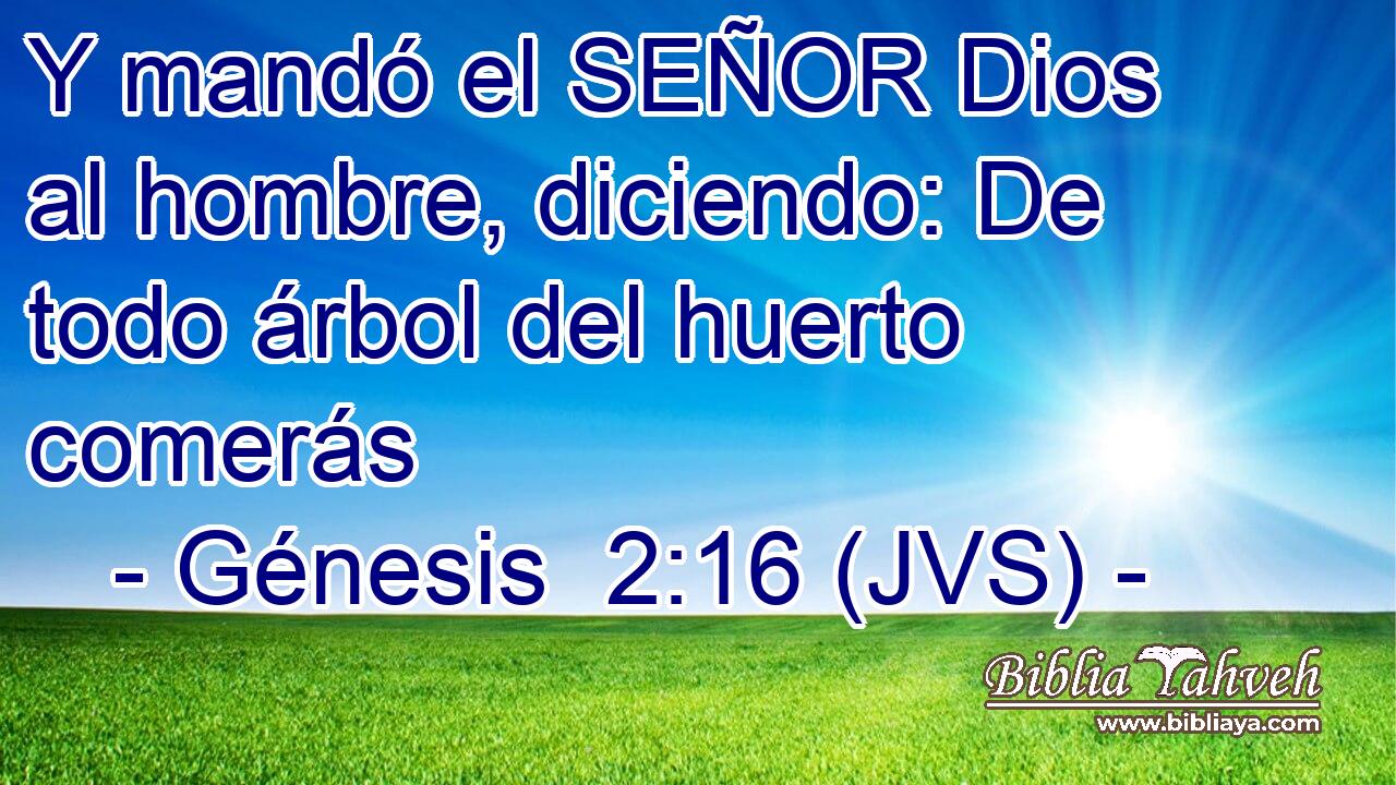 Y mandó el SEÑOR Dios al hombre, diciendo: De todo árbol del huerto comerás