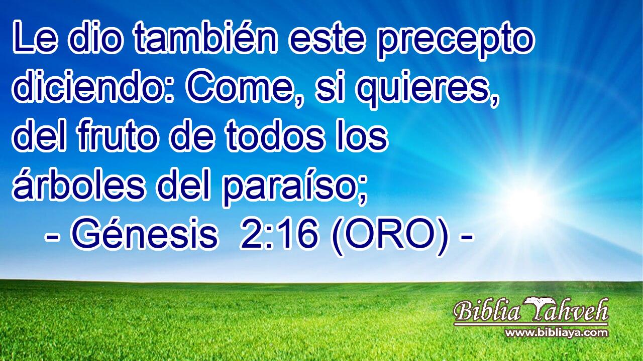  Le dio también este precepto diciendo: Come, si quieres, del fruto de todos los árboles del paraíso; 