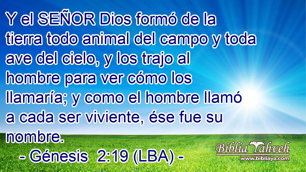 Y el SEÑOR Dios formó de la tierra todo animal del campo y toda ave del cielo, y los trajo al hombre para ver cómo los llamaría; y como el hombre llamó a cada ser viviente, ése fue su nombre.