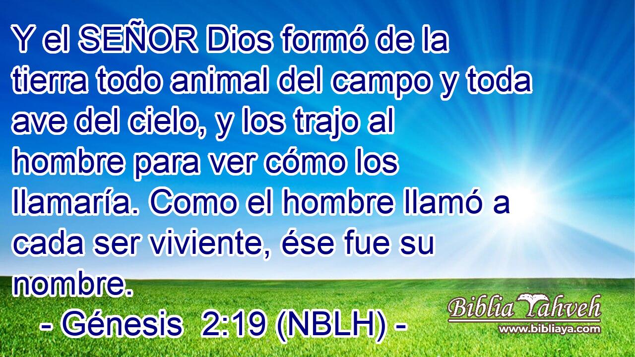  Y el SEÑOR Dios formó de la tierra todo animal del campo y toda ave del cielo, y los trajo al hombre para ver cómo los llamaría. Como el hombre llamó a cada ser viviente, ése fue su nombre. 
