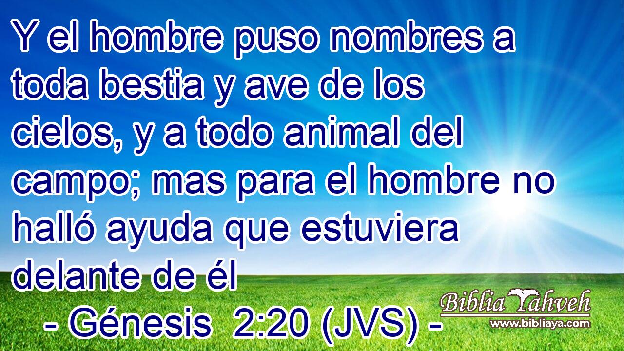 Y el hombre puso nombres a toda bestia y ave de los cielos, y a todo animal del campo; mas para el hombre no halló ayuda que estuviera delante de él