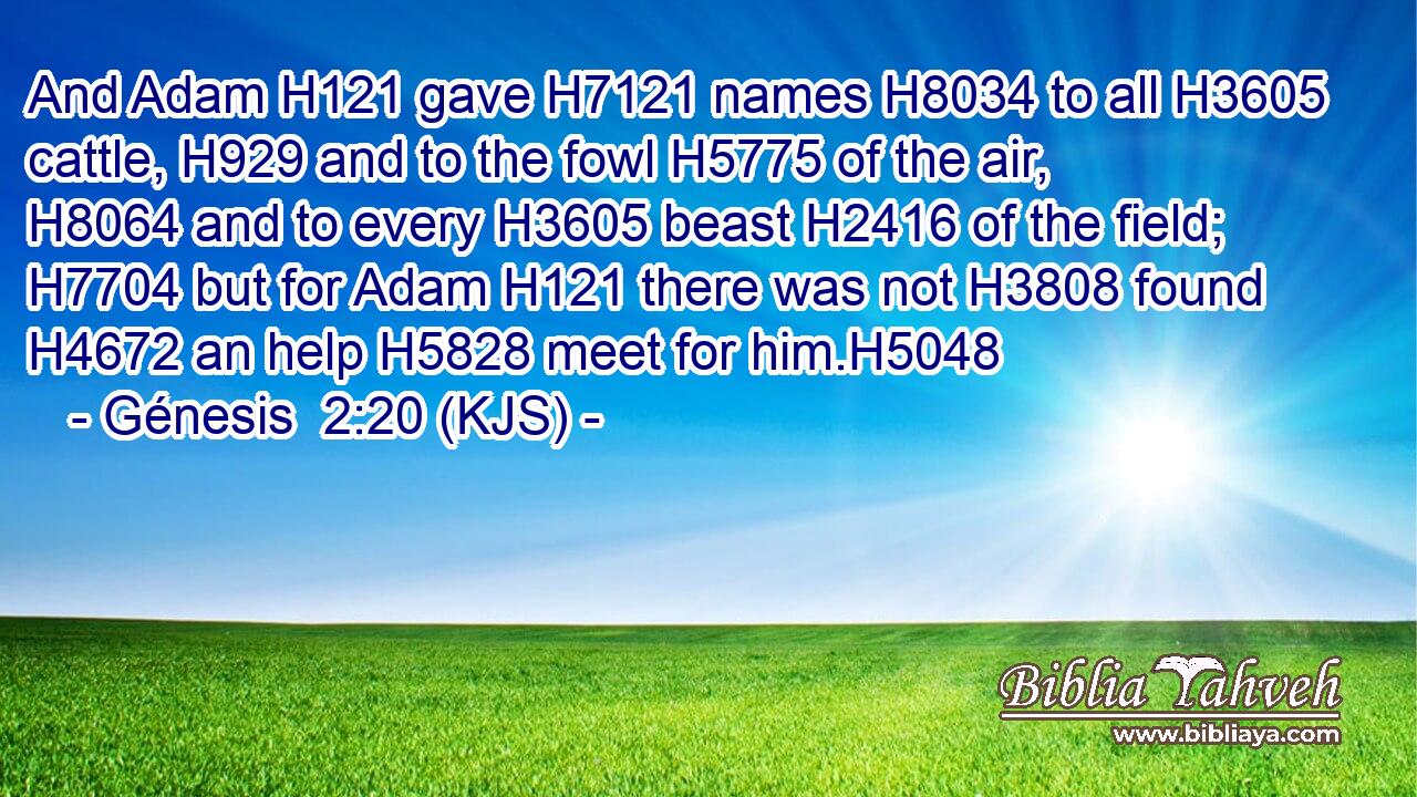 And Adam H121 gave H7121 names H8034 to all H3605 cattle, H929 and to the fowl H5775 of the air, H8064 and to every H3605 beast H2416 of the field; H7704 but for Adam H121 there was not H3808 found H4672 an help H5828 meet for him.H5048