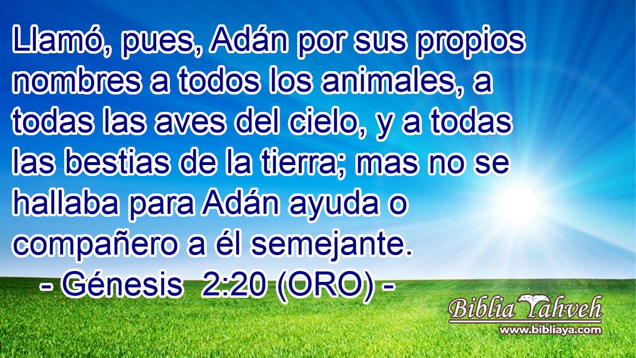  Llamó, pues, Adán por sus propios nombres a todos los animales, a todas las aves del cielo, y a todas las bestias de la tierra; mas no se hallaba para Adán ayuda o compañero a él semejante. 