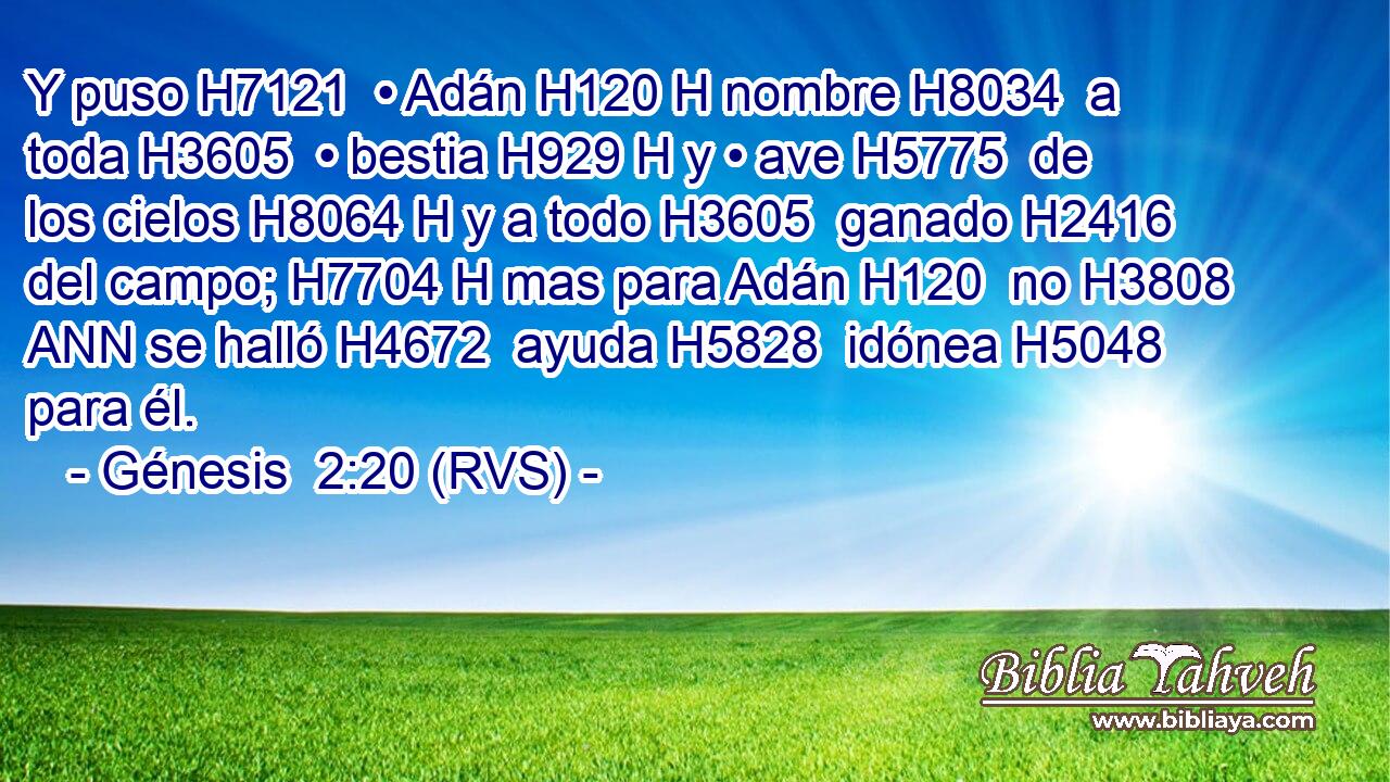 Y puso H7121  • Adán H120 H nombre H8034  a toda H3605  • bestia H929 H y • ave H5775  de los cielos H8064 H y a todo H3605  ganado H2416  del campo; H7704 H mas para Adán H120  no H3808 ANN se halló H4672  ayuda H5828  idónea H5048  para él. 