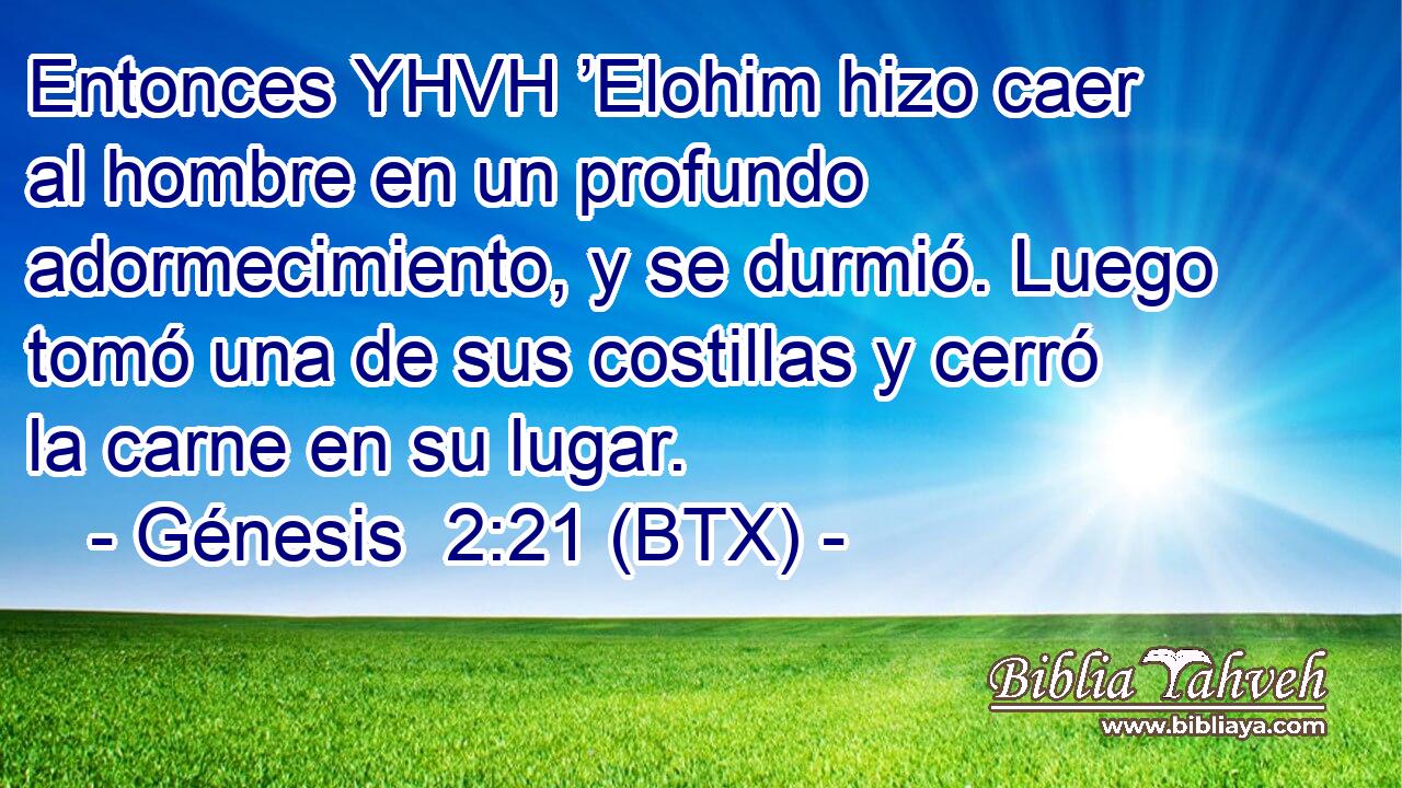 Entonces YHVH ’Elohim hizo caer al hombre en un profundo adormecimiento, y se durmió. Luego tomó una de sus costillas y cerró la carne en su lugar.