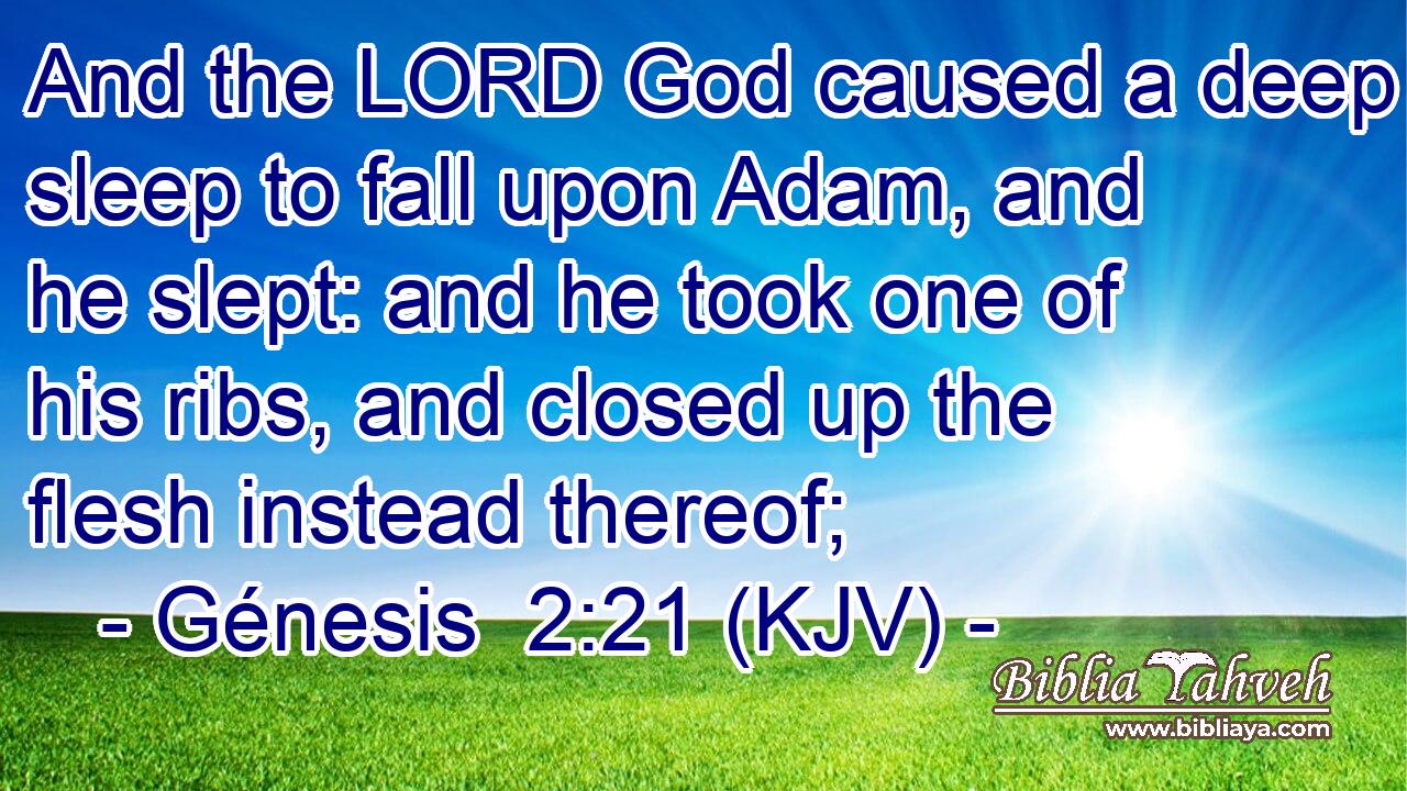 And the LORD God caused a deep sleep to fall upon Adam, and he slept: and he took one of his ribs, and closed up the flesh instead thereof;