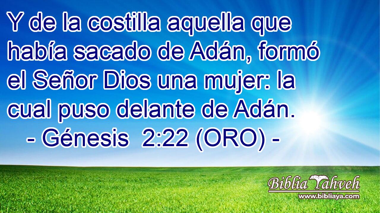  Y de la costilla aquella que había sacado de Adán, formó el Señor Dios una mujer: la cual puso delante de Adán. 