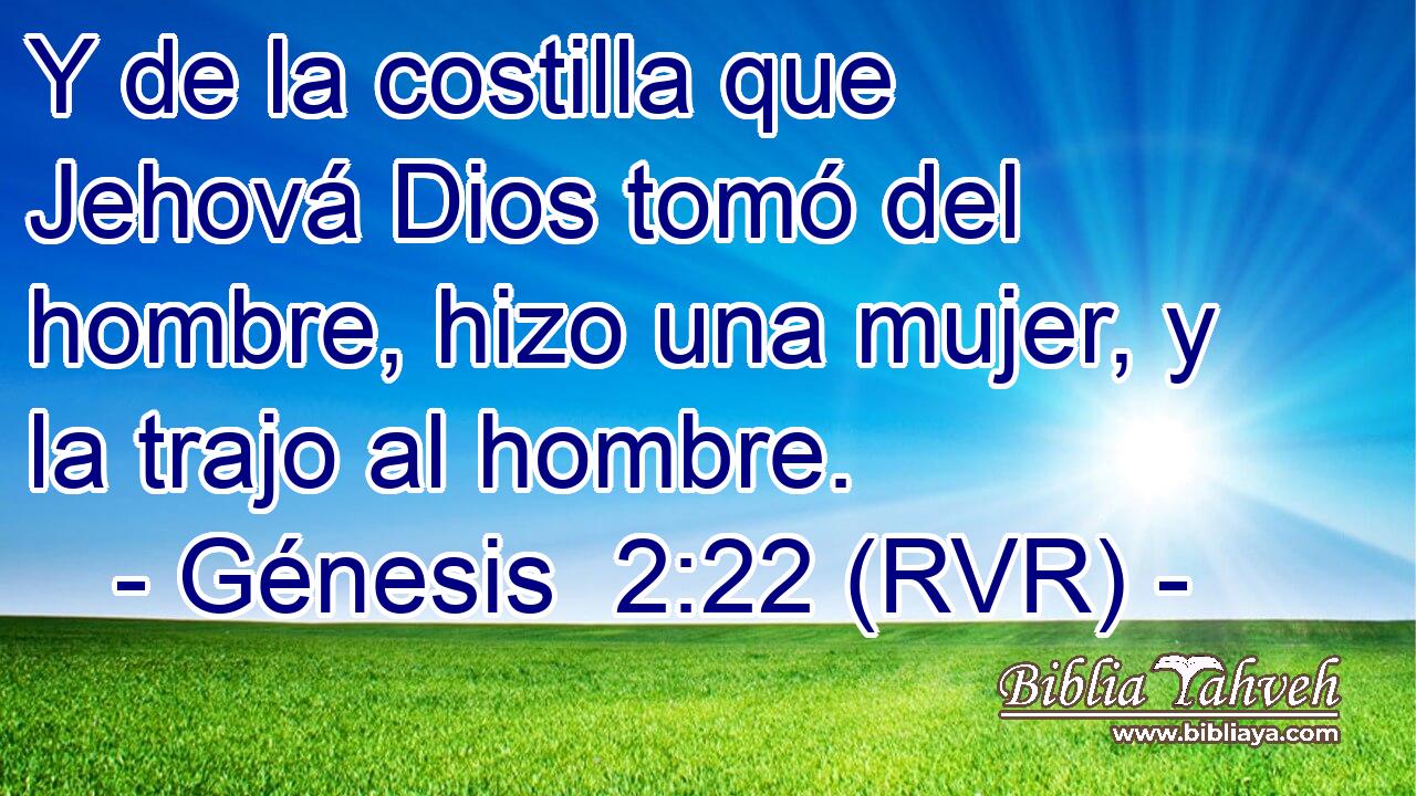 Y de la costilla que Jehová Dios tomó del hombre, hizo una mujer, y la trajo al hombre.