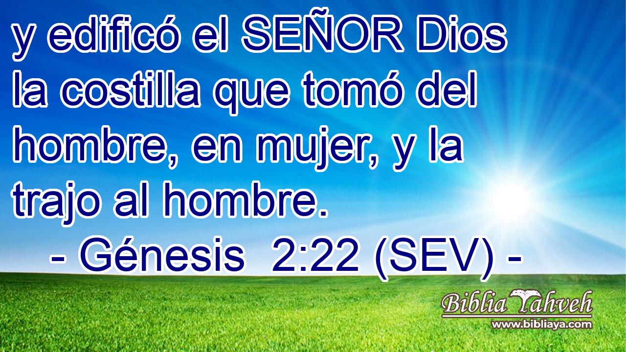 y edificó el SEÑOR Dios la costilla que tomó del hombre, en mujer, y la trajo al hombre.