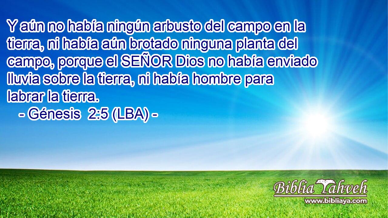 Y aún no había ningún arbusto del campo en la tierra, ni había aún brotado ninguna planta del campo, porque el SEÑOR Dios no había enviado lluvia sobre la tierra, ni había hombre para labrar la tierra.