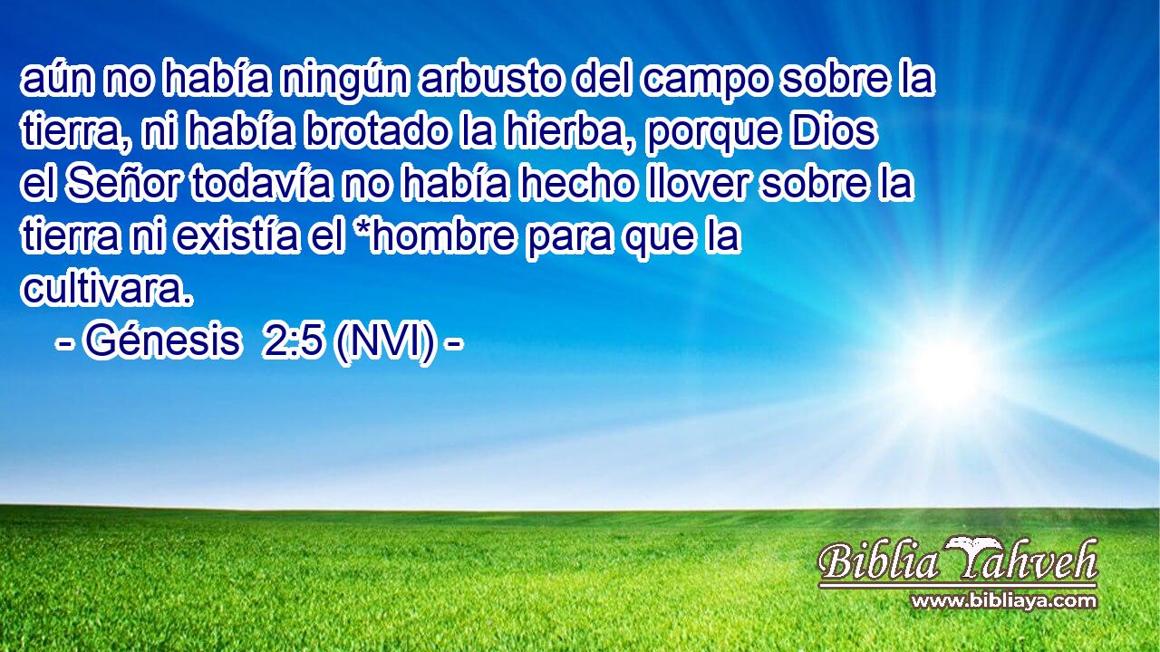  aún no había ningún arbusto del campo sobre la tierra, ni había brotado la hierba, porque Dios el Señor todavía no había hecho llover sobre la tierra ni existía el *hombre para que la cultivara. 