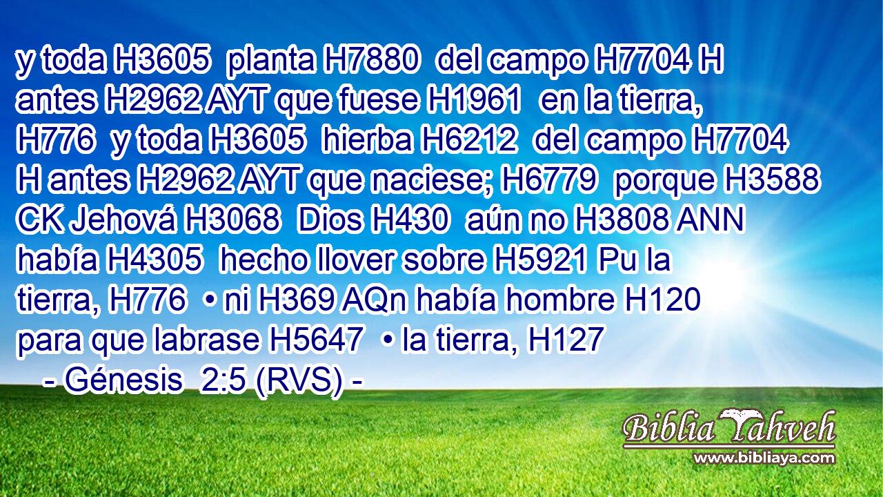 y toda H3605  planta H7880  del campo H7704 H antes H2962 AYT que fuese H1961  en la tierra, H776  y toda H3605  hierba H6212  del campo H7704 H antes H2962 AYT que naciese; H6779  porque H3588 CK Jehová H3068  Dios H430  aún no H3808 ANN había H4305  hecho llover sobre H5921 Pu la tierra, H776  • ni H369 AQn había hombre H120  para que labrase H5647  • la tierra, H127