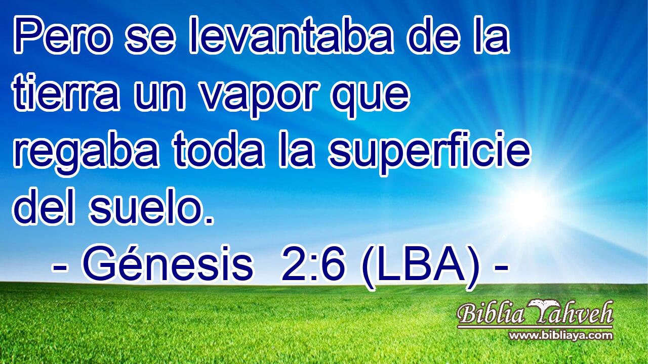 Pero se levantaba de la tierra un vapor que regaba toda la superficie del suelo.