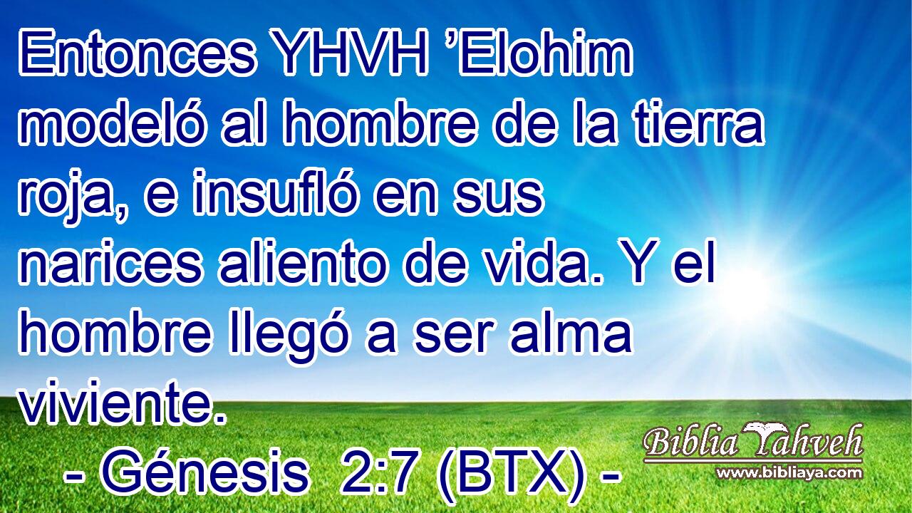 Entonces YHVH ’Elohim modeló al hombre de la tierra roja, e insufló en sus narices aliento de vida. Y el hombre llegó a ser alma viviente.