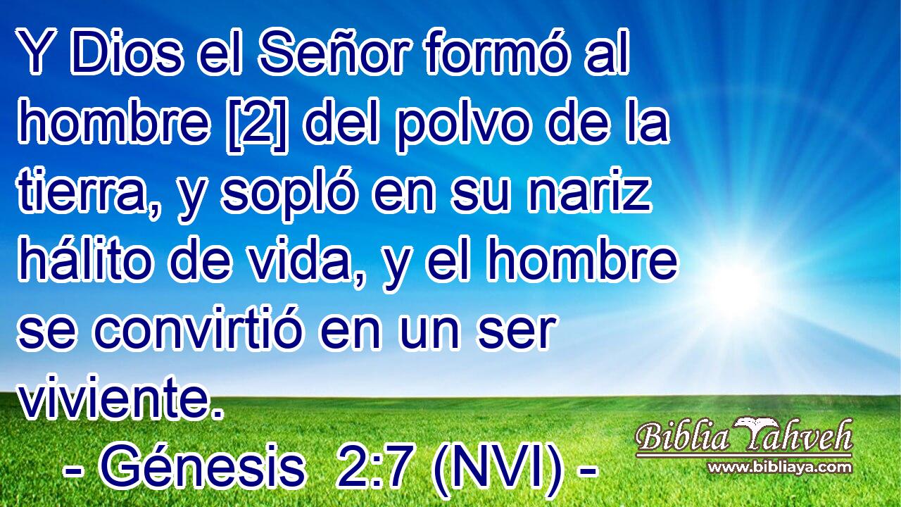  Y Dios el Señor formó al hombre [2] del polvo de la tierra, y sopló en su nariz hálito de vida, y el hombre se convirtió en un ser viviente. 