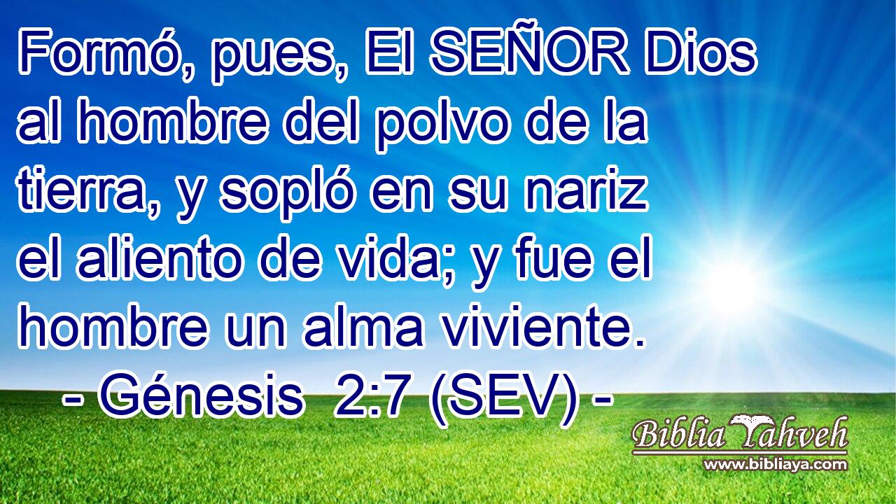 Formó, pues, El SEÑOR Dios al hombre del polvo de la tierra, y sopló en su nariz el aliento de vida; y fue el hombre un alma viviente.