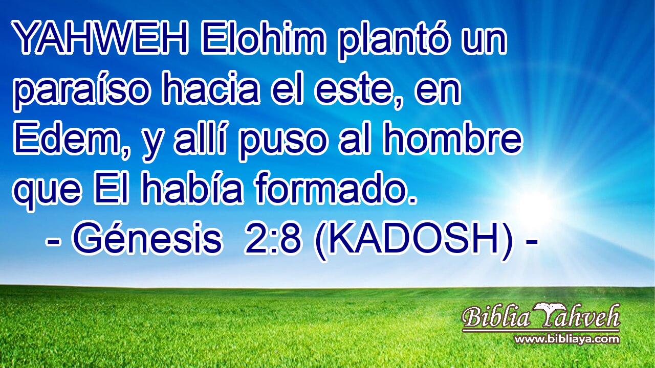  YAHWEH Elohim plantó un paraíso hacia el este, en Edem, y allí puso al hombre que El había formado. 