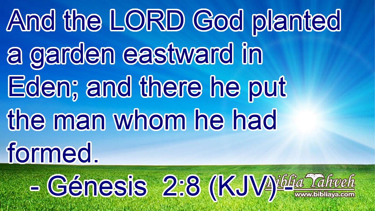 And the LORD God planted a garden eastward in Eden; and there he put the man whom he had formed.