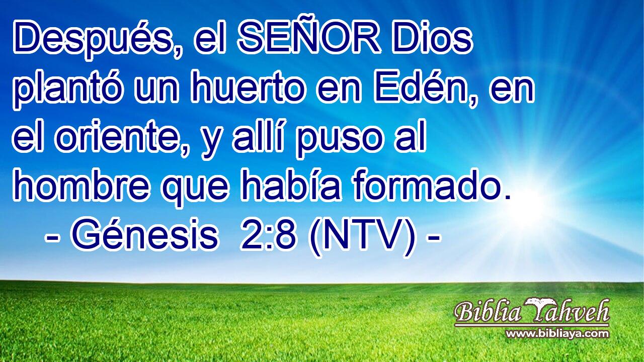Después, el SEÑOR Dios plantó un huerto en Edén, en el oriente, y allí puso al hombre que había formado.