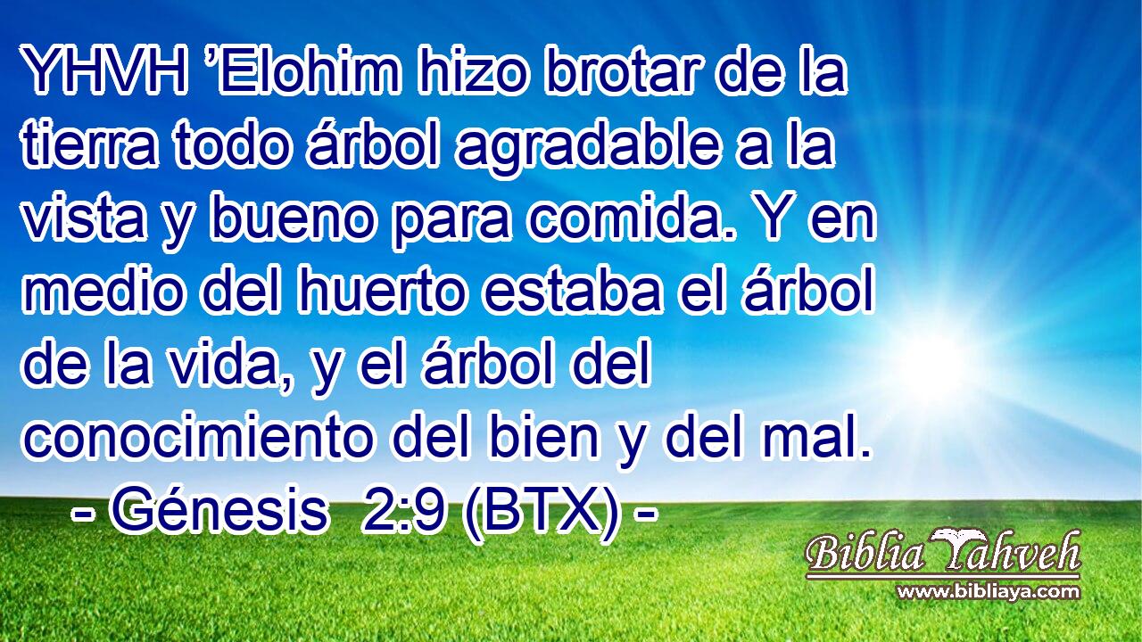 YHVH ’Elohim hizo brotar de la tierra todo árbol agradable a la vista y bueno para comida. Y en medio del huerto estaba el árbol de la vida, y el árbol del conocimiento del bien y del mal.
