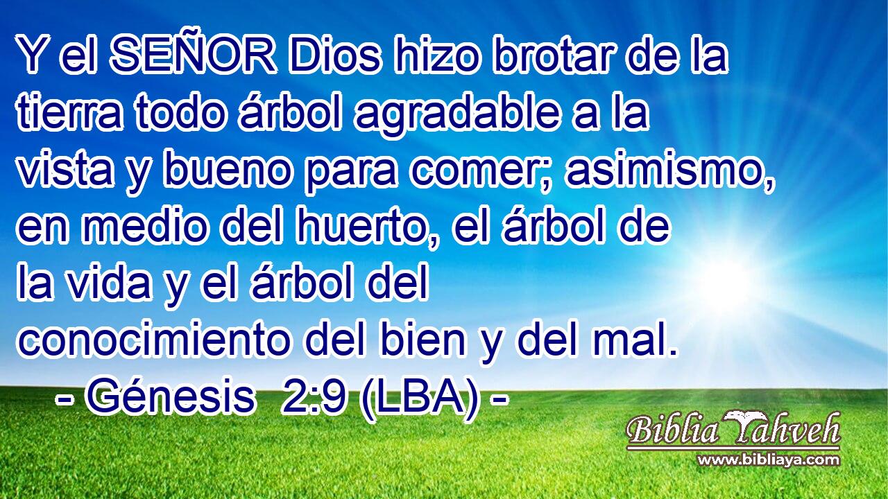 Y el SEÑOR Dios hizo brotar de la tierra todo árbol agradable a la vista y bueno para comer; asimismo, en medio del huerto, el árbol de la vida y el árbol del conocimiento del bien y del mal.