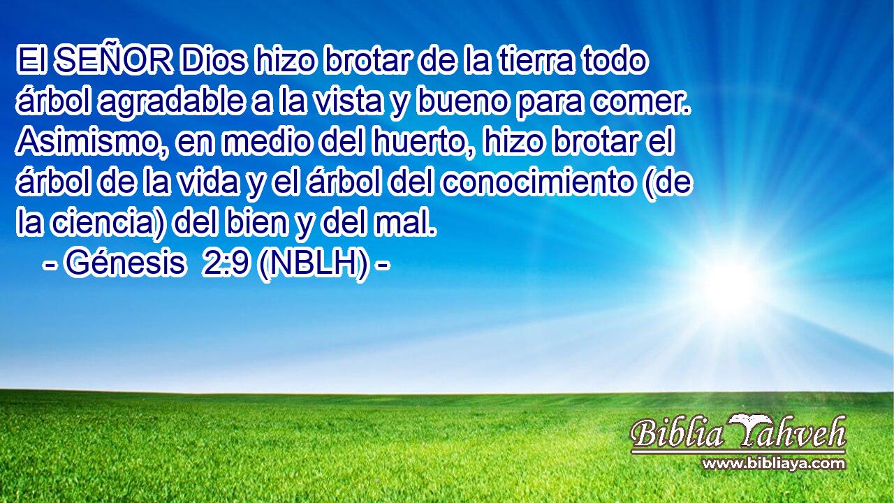  El SEÑOR Dios hizo brotar de la tierra todo árbol agradable a la vista y bueno para comer. Asimismo, en medio del huerto, hizo brotar el árbol de la vida y el árbol del conocimiento (de la ciencia) del bien y del mal. 