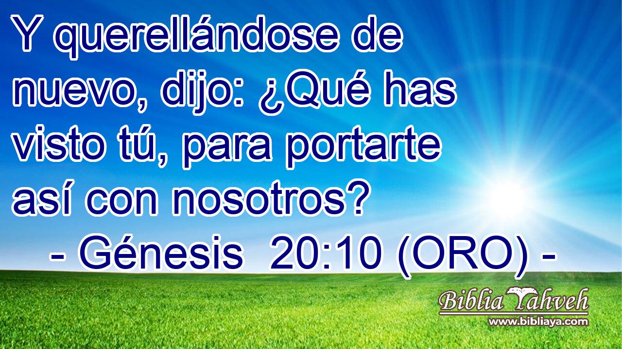  Y querellándose de nuevo, dijo: ¿Qué has visto tú, para portarte así con nosotros? 