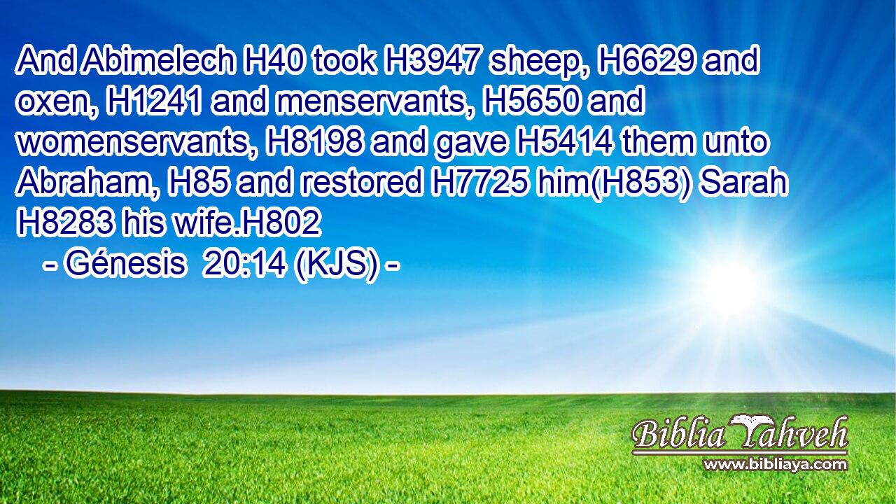 And Abimelech H40 took H3947 sheep, H6629 and oxen, H1241 and menservants, H5650 and womenservants, H8198 and gave H5414 them unto Abraham, H85 and restored H7725 him(H853) Sarah H8283 his wife.H802