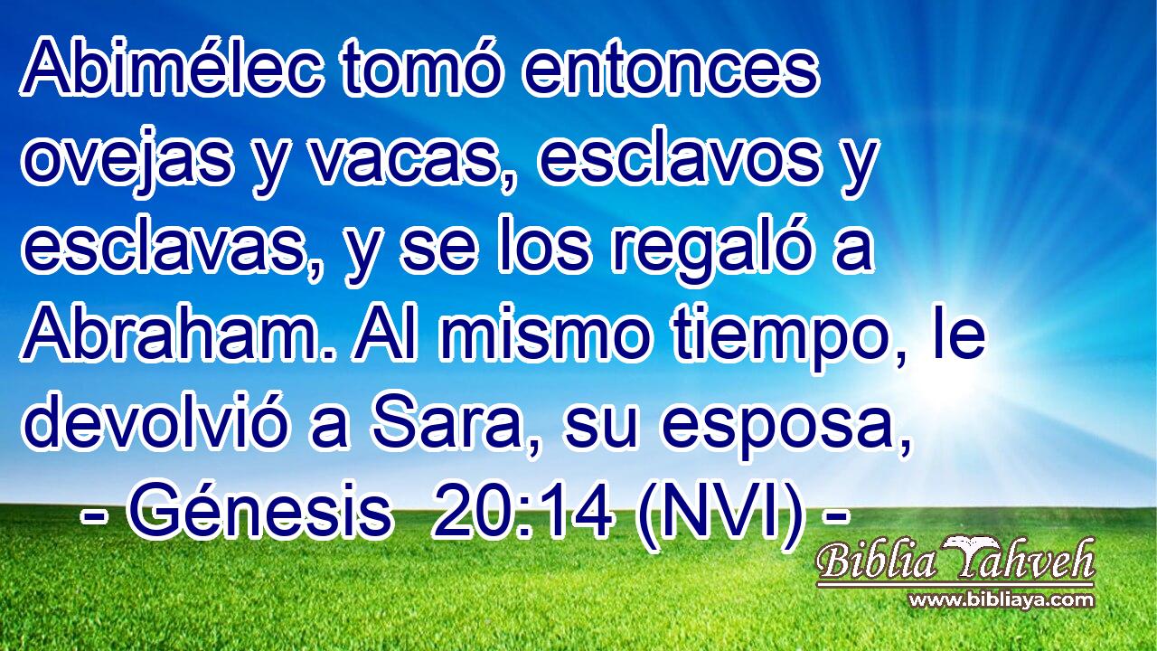  Abimélec tomó entonces ovejas y vacas, esclavos y esclavas, y se los regaló a Abraham. Al mismo tiempo, le devolvió a Sara, su esposa, 