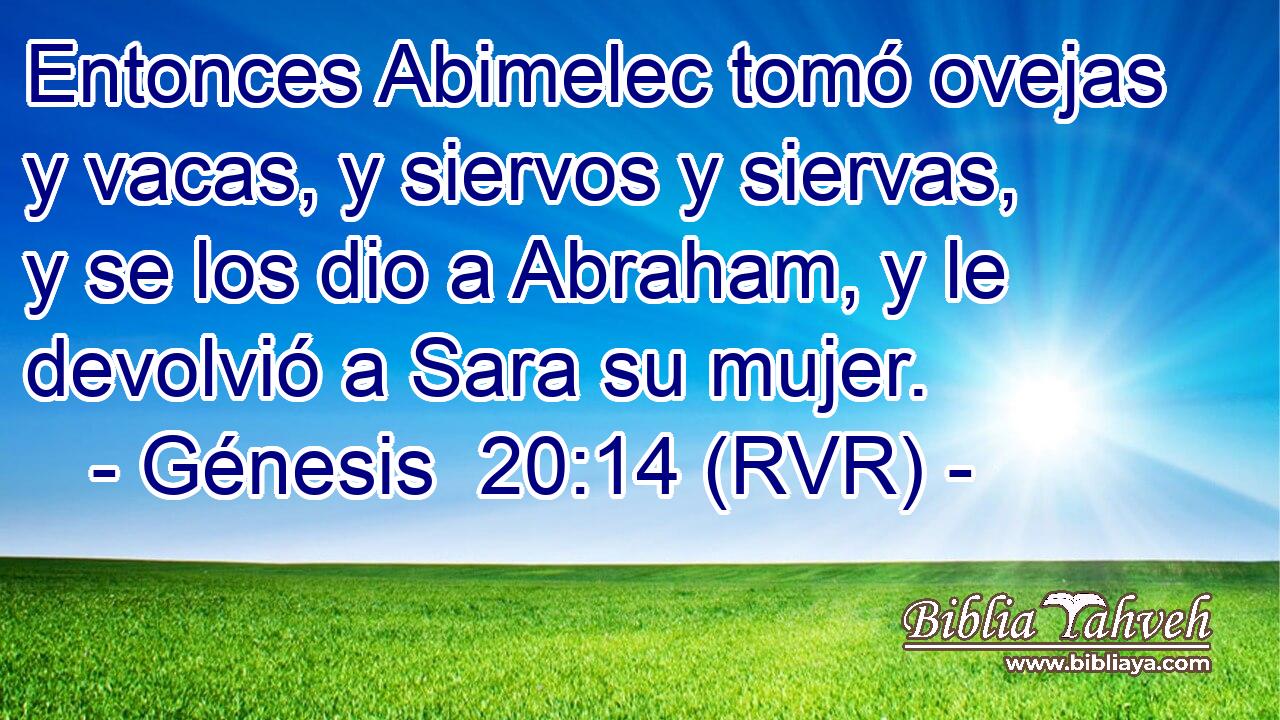 Entonces Abimelec tomó ovejas y vacas, y siervos y siervas, y se los dio a Abraham, y le devolvió a Sara su mujer.