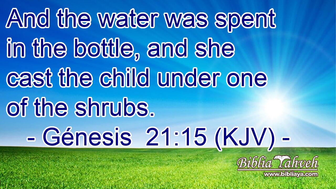 And the water was spent in the bottle, and she cast the child under one of the shrubs.