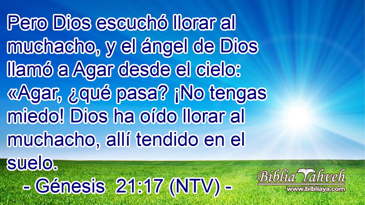 Pero Dios escuchó llorar al muchacho, y el ángel de Dios llamó a Agar desde el cielo: «Agar, ¿qué pasa? ¡No tengas miedo! Dios ha oído llorar al muchacho, allí tendido en el suelo.