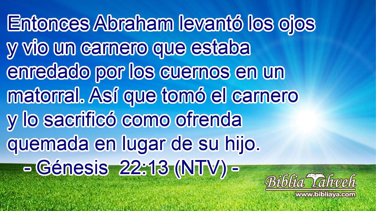 Entonces Abraham levantó los ojos y vio un carnero que estaba enredado por los cuernos en un matorral. Así que tomó el carnero y lo sacrificó como ofrenda quemada en lugar de su hijo.