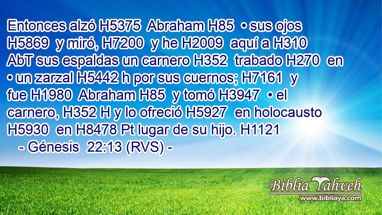 Entonces alzó H5375  Abraham H85  • sus ojos H5869  y miró, H7200  y he H2009  aquí a H310 AbT sus espaldas un carnero H352  trabado H270  en • un zarzal H5442 h por sus cuernos; H7161  y fue H1980  Abraham H85  y tomó H3947  • el carnero, H352 H y lo ofreció H5927  en holocausto H5930  en H8478 Pt lugar de su hijo. H1121  