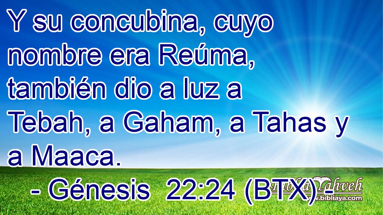 Y su concubina, cuyo nombre era Reúma, también dio a luz a Tebah, a Gaham, a Tahas y a Maaca.