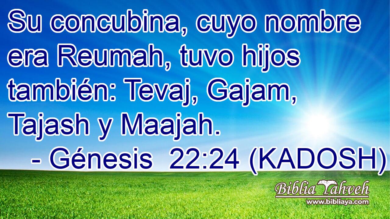  Su concubina, cuyo nombre era Reumah, tuvo hijos también: Tevaj, Gajam, Tajash y Maajah. 